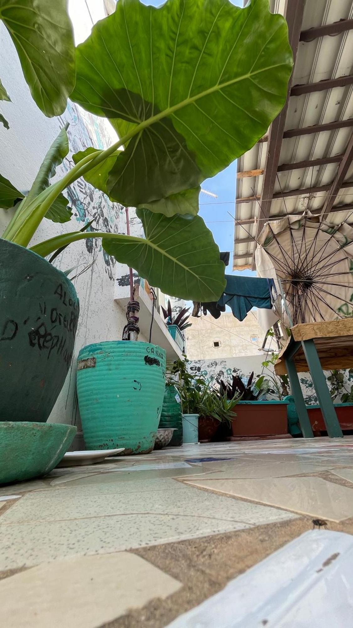 Dar Dyali Rooftop ⁿᵉᵃʳ ⁿᵍᵒʳ ᵇᵉᵃᶜʰ ᵃⁿᵈ ⁱˢˡᵃⁿᵈ Ντακάρ Εξωτερικό φωτογραφία