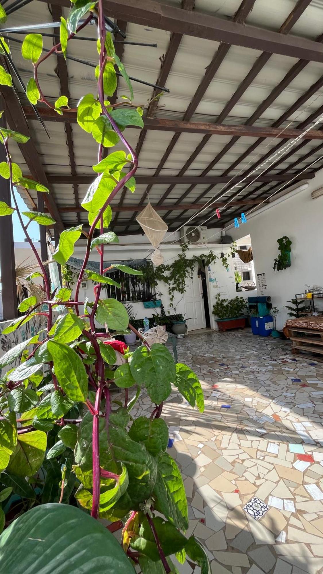 Dar Dyali Rooftop ⁿᵉᵃʳ ⁿᵍᵒʳ ᵇᵉᵃᶜʰ ᵃⁿᵈ ⁱˢˡᵃⁿᵈ Ντακάρ Εξωτερικό φωτογραφία